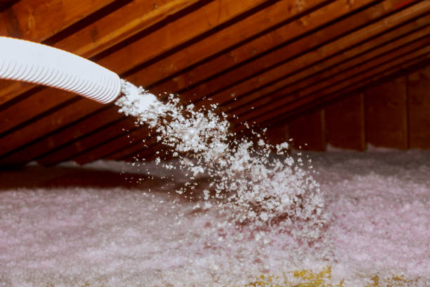 Best Specialized Insulation Services in Kirkland, WA